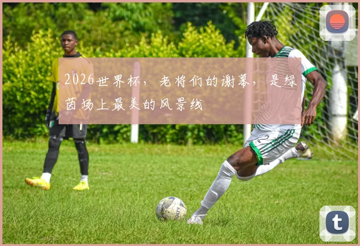 2026世界杯，老将们的谢幕，是绿茵场上最美的风景线