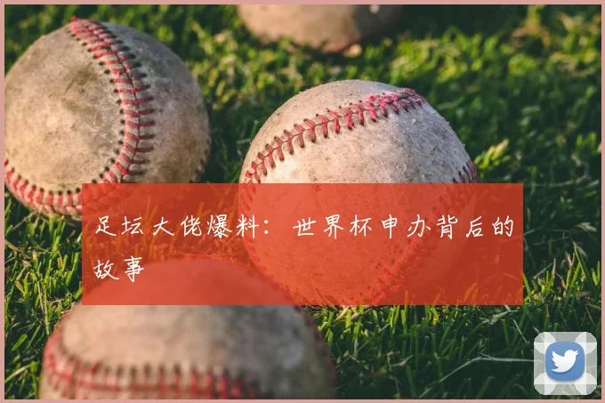 足坛大佬爆料：世界杯申办背后的故事