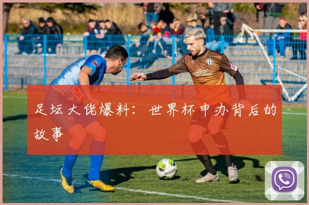 足坛大佬爆料：世界杯申办背后的故事